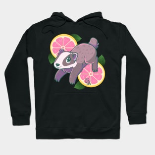 Grapefruit Badger Splash Hoodie